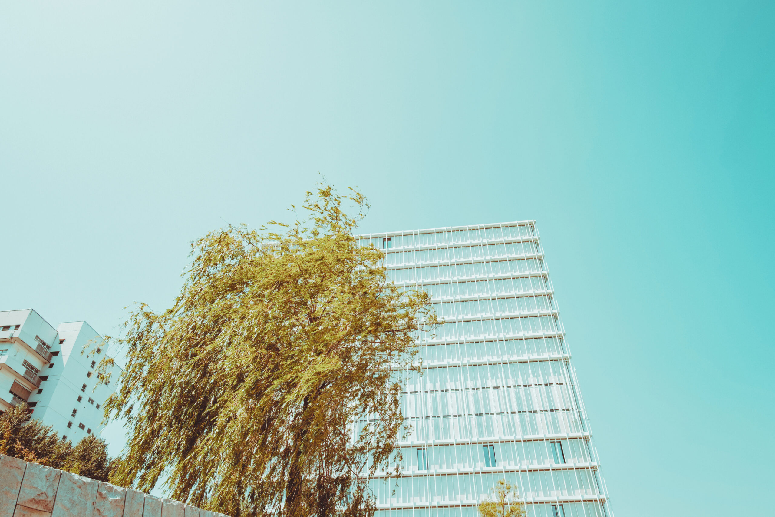 St. Johann (Novartis Campus)